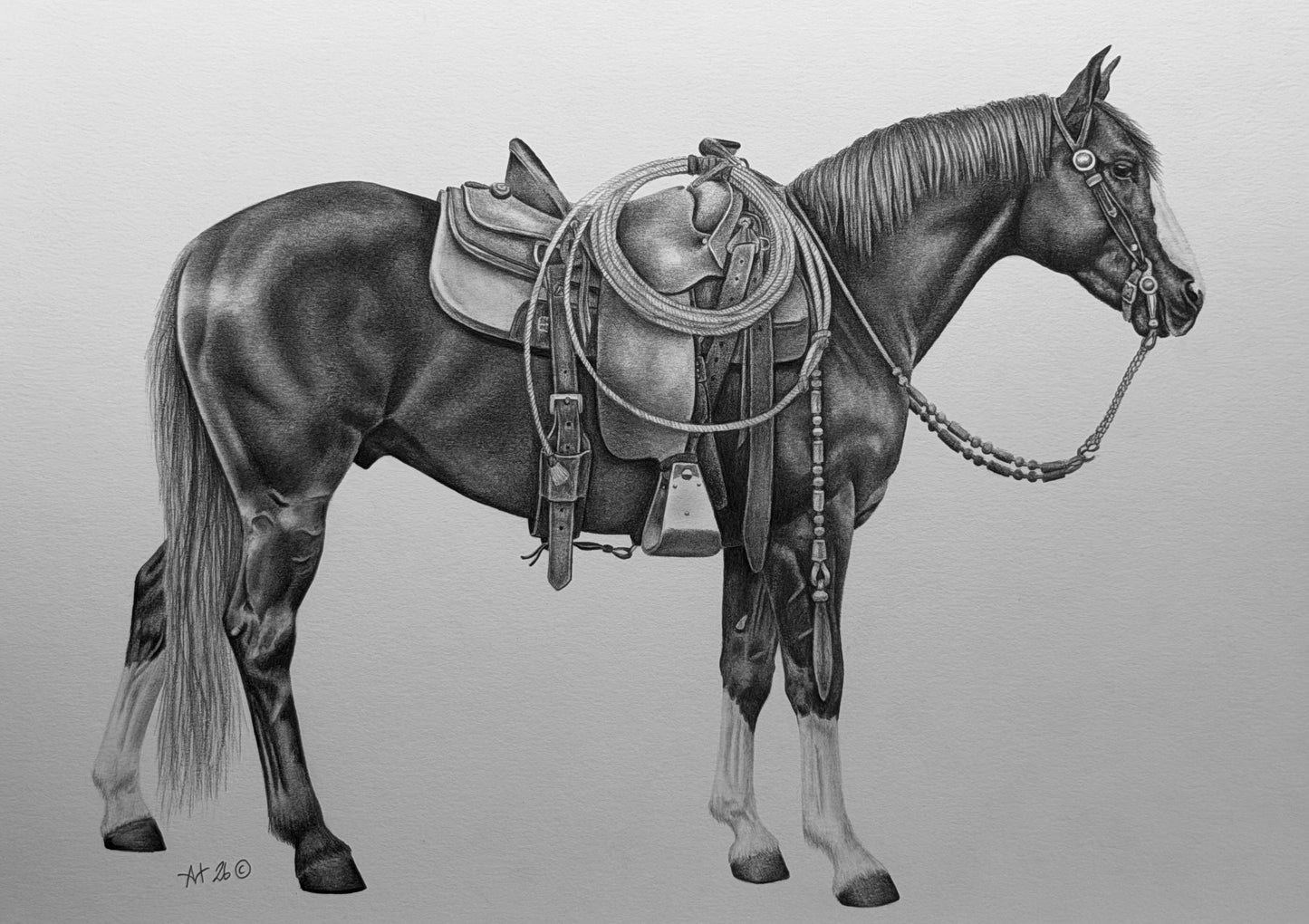 Ranch Pony