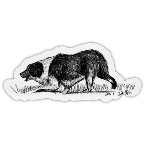 Border Collie Sticker