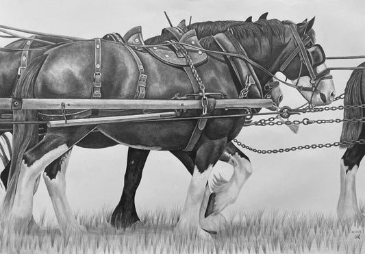Heavy Horses
