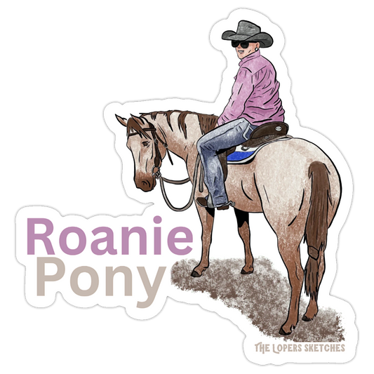 Roanie Pony