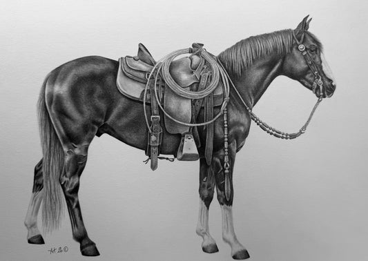 Ranch Pony A4 Print