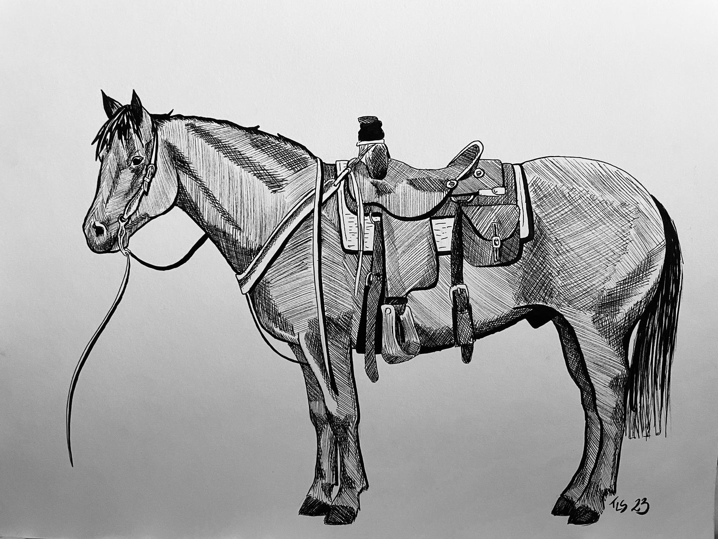 Workhorse Ink Sketch