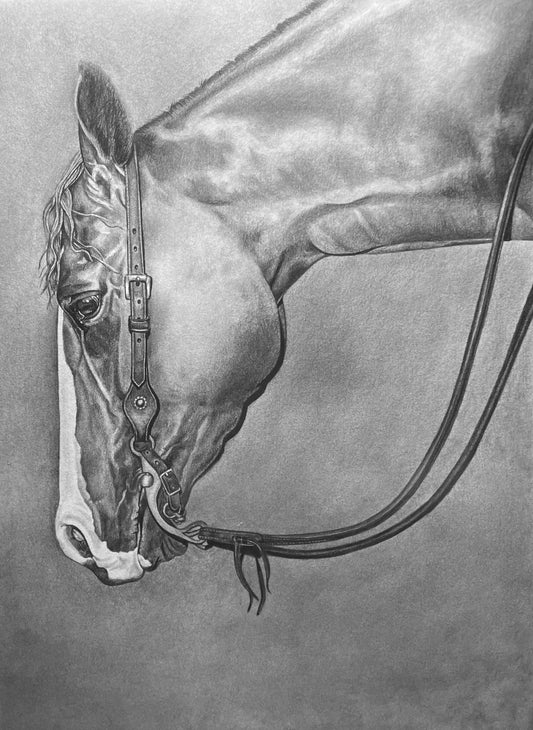 The Cow Horse